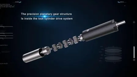 Zhaowei Custom10mm 스마트 잠금 장치용 마이크로 유성 DC 기어드 모터 산업용 액추에이터